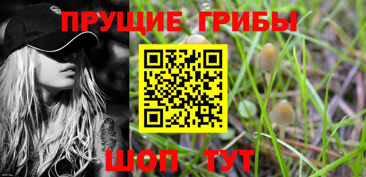 Артёмовский  Псилоцибиновые грибы прущие грибы  Вход с VPN  Галлюциногенные грибы мухоморы 